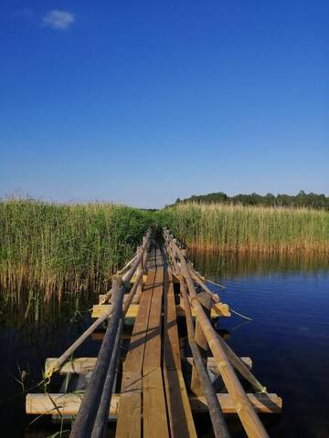 Фотографии Загородные дома Searooms г. Лапмежциемс (Латвия) №5 Фото Загородные дома Searooms г. Лапмежциемс 5